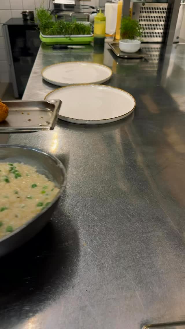 🍽️ Hráškové rizoto s kroketami z králika, mladým hráškom, parmezánom a maslom

Jemné krémové rizoto plné sviežej chuti mladého hrášku, doplnené o chrumkavé králičie krokety. Zamatovú textúru podčiarkuje parmezán a maslo, ktoré jedlu dodávajú dokonalú hĺbku. 💚

Príď si ho vychutnať do Spilky 🍻